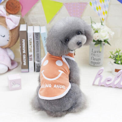 US Cartoon Small Dog Clothes Pet Puppy Cute Vest Dog Cat Apparel 11 Color S-XXL
US Cartoon Small Dog Clothes Pet Puppy Cute Vest Dog Cat Apparel 11 Color S-XXL