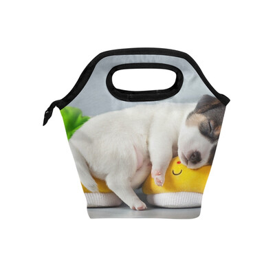 Insulated Lunch Tote Bag White Dog Travel Picnic Lunch Handbags Portable Zipper Lunch Bag Box
Insulated Lunch Tote Bag White Dog Travel Picnic Lunch Handbags Portable Zipper Lunch Bag Box