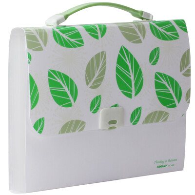 KINARY KINARY DC1400 13 grid A4 portable organ bag information file package color random
KINARY KINARY DC1400 13 grid A4 portable organ bag information file package color random