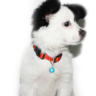 Hanhan Park Dog Collar Cat Collar Dog Dog Cartoon Bell Collar Lanyard Pet Tank Necklace Teddy Dog Pet Cat Bell Dog Jewelry Accessories Striped 15cm-30cm
Hanhan Park Dog Collar Cat Collar Dog Dog Cartoon Bell Collar Lanyard Pet Tank Necklace Teddy Dog Pet Cat Bell Dog Jewelry Accessories Striped 15cm-30cm