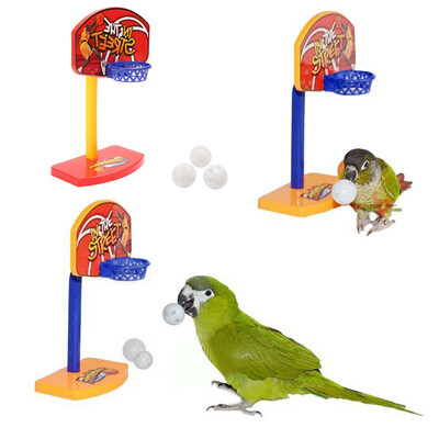 New 3pcs Balls Pet Birds Chew Toy Parakeet Bell Balls Parrot Toys Birdie Basketball Hoop Props Pet Parrot Pet Products Supplies
New 3pcs Balls Pet Birds Chew Toy Parakeet Bell Balls Parrot Toys Birdie Basketball Hoop Props Pet Parrot Pet Products Supplies