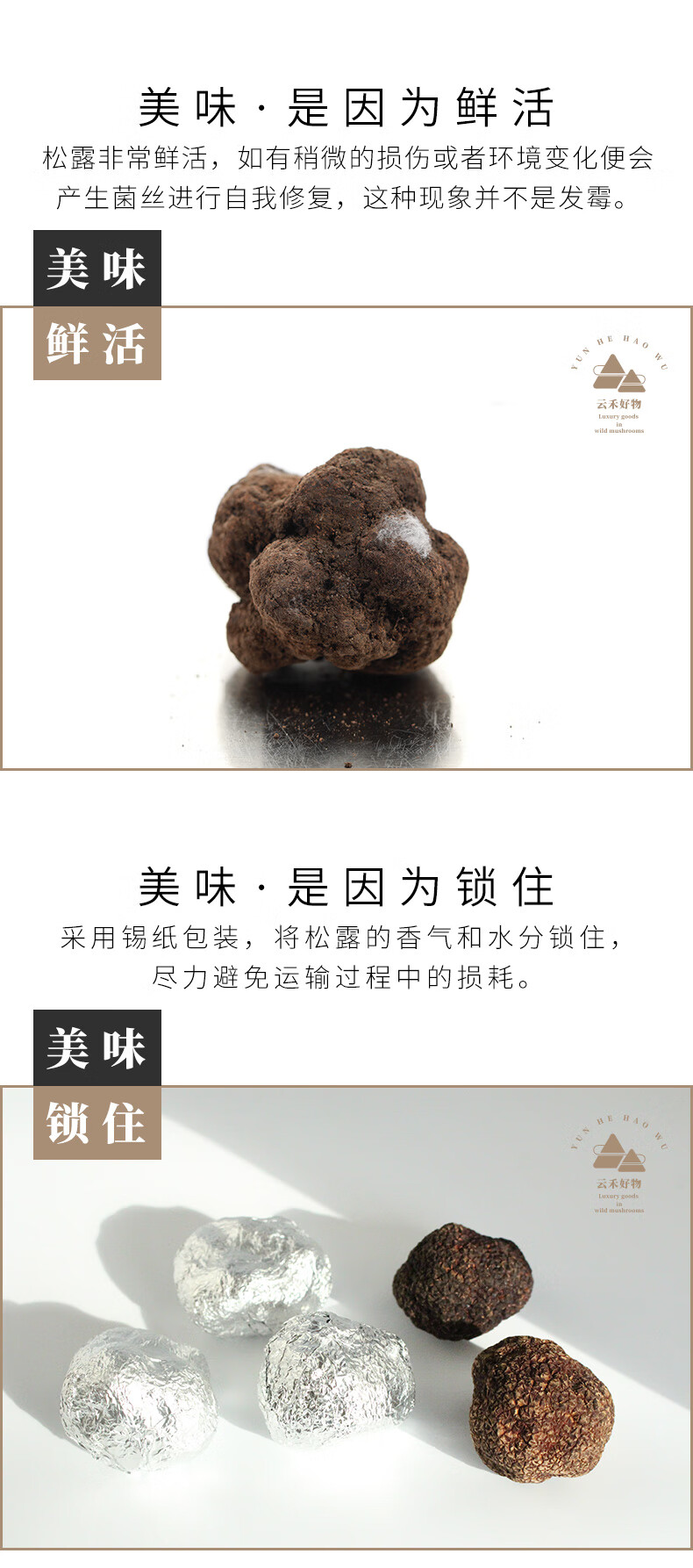 黑松露云南松露新鲜猪拱菌贡山块菌松露菌鲜黑松露菌礼盒国产brumale