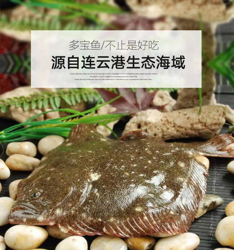 活冻多宝鱼大菱鲆鱼比目鱼新鲜多宝鱼海鲜水产海鱼鸦片鱼鲽鱼蜜鲜湾四