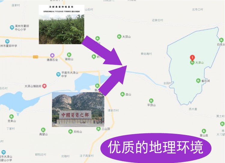 桑葚酒泽醇大泽山农家原汁发酵自酿桑椹酒甜干型微醺果酒5斤桶装桑葚