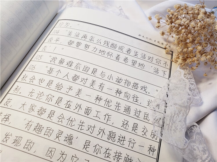 创意肖战周边歌词经典语录练字帖情书体簪花小楷 陈继世行书