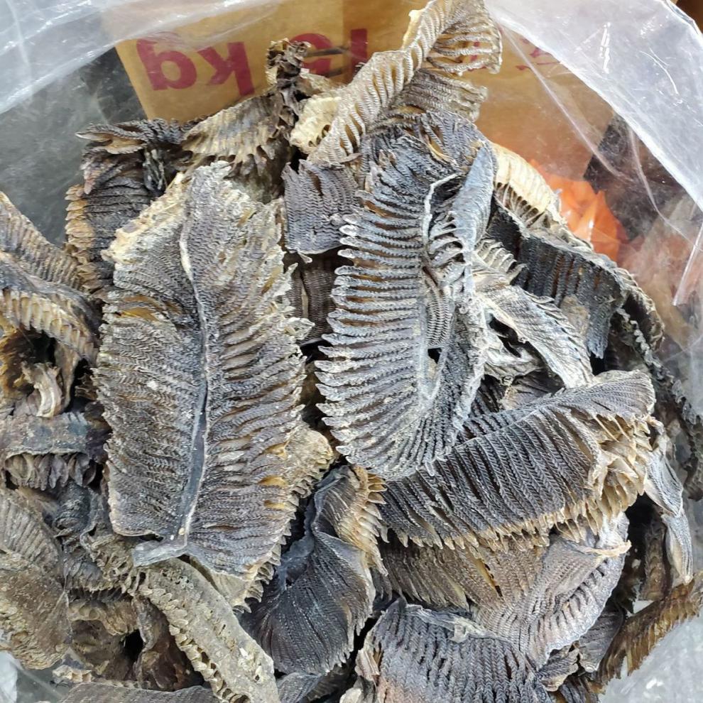 膨鱼鳃干货100g虾鹏鳃干海味干货海产品广东煲汤材料孕妇食品中号膨鱼