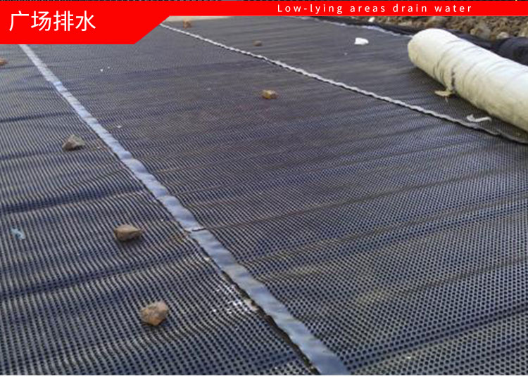 蓄排水板屋顶绿化排水板楼顶花园凹凸型塑料阻根防排水板滤水板黑色蓄
