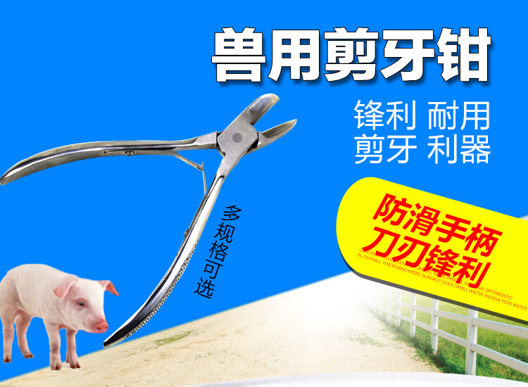 小猪剪牙钳牙齿断齿兽用给兔子剪牙器钳子不锈钢中号奶仔猪牙剪猪12