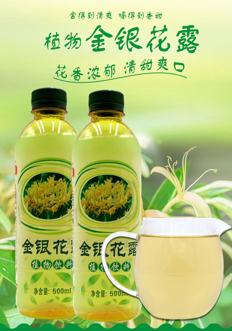 挑战者金银花露植物饮料500ml5瓶金银花凉茶饮料夏季