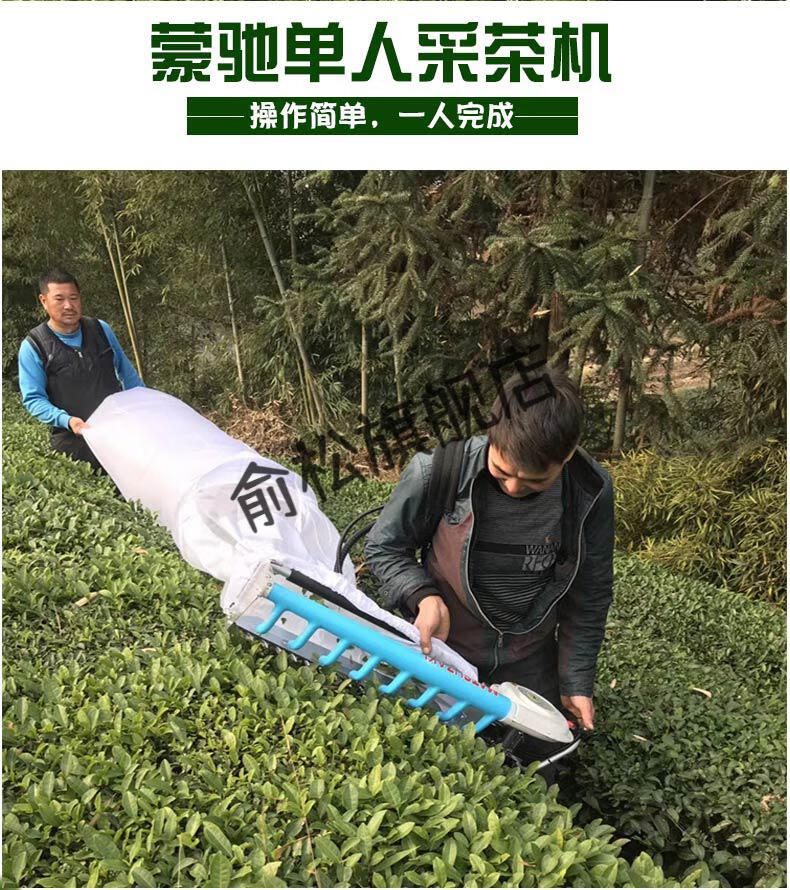 升级款摘茶叶的机器采茶叶机器修剪机茶树剪茶叶电动摘茶机修茶树机器