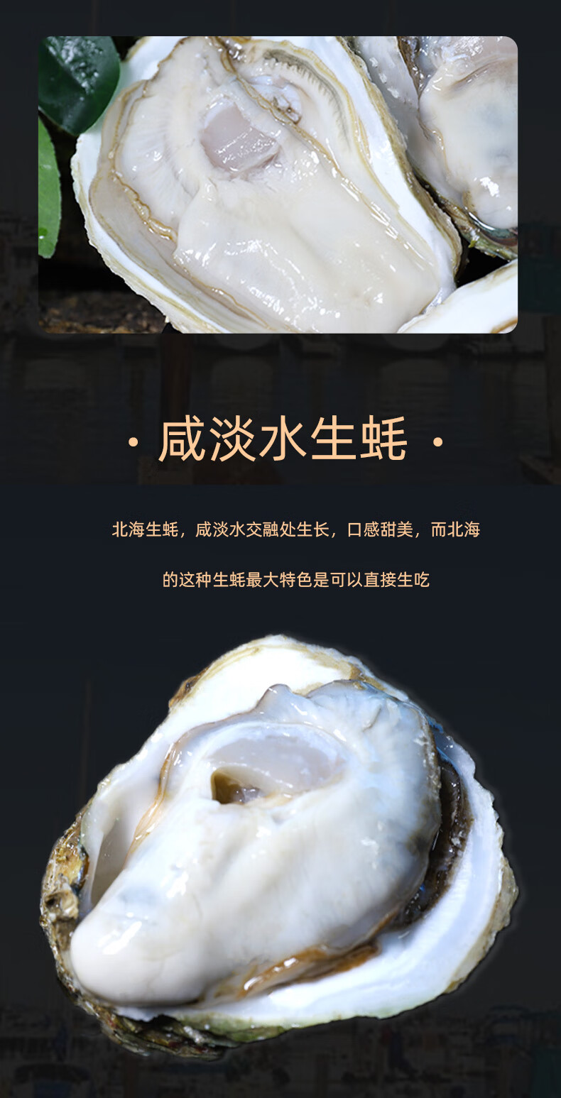 北海特产生蚝鲜活10斤装特大带壳新鲜一箱牡蛎肉海鲜水产 套餐一 xl