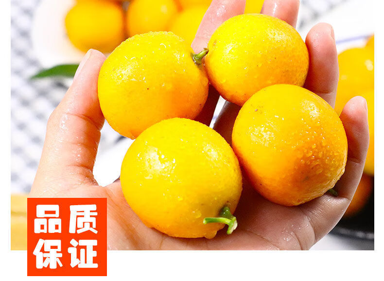 小金桔水果现货新鲜黄皮金桔脆皮滑皮金桔小金橘水果金桔3斤装大果