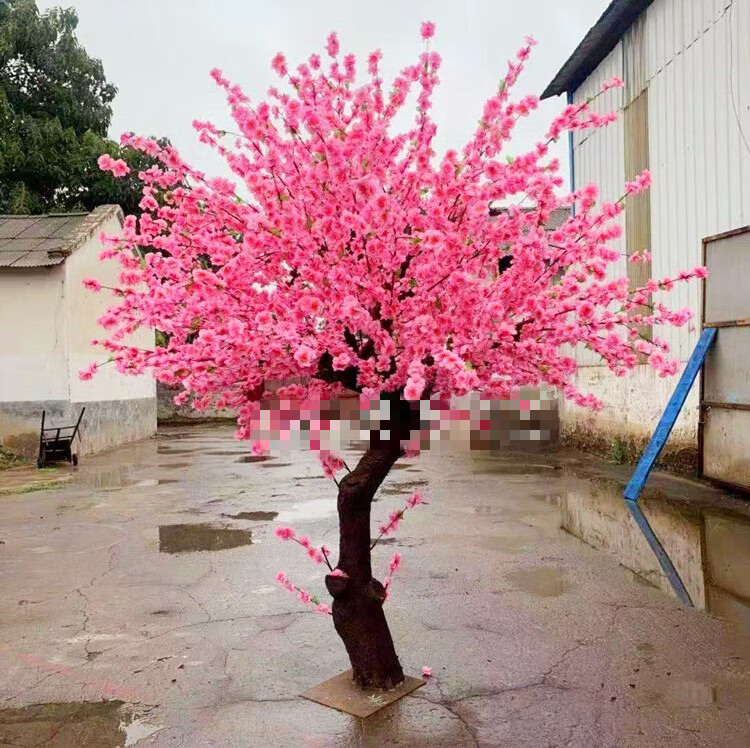 一木代传假桃树大型仿真桃花树春节摆花桃花新年许愿树樱花梅花腊梅树