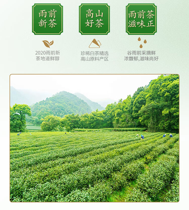 2021新茶安吉珍稀白茶叶买送水晶杯安吉特产白茶绿茶叶100g500g袋装