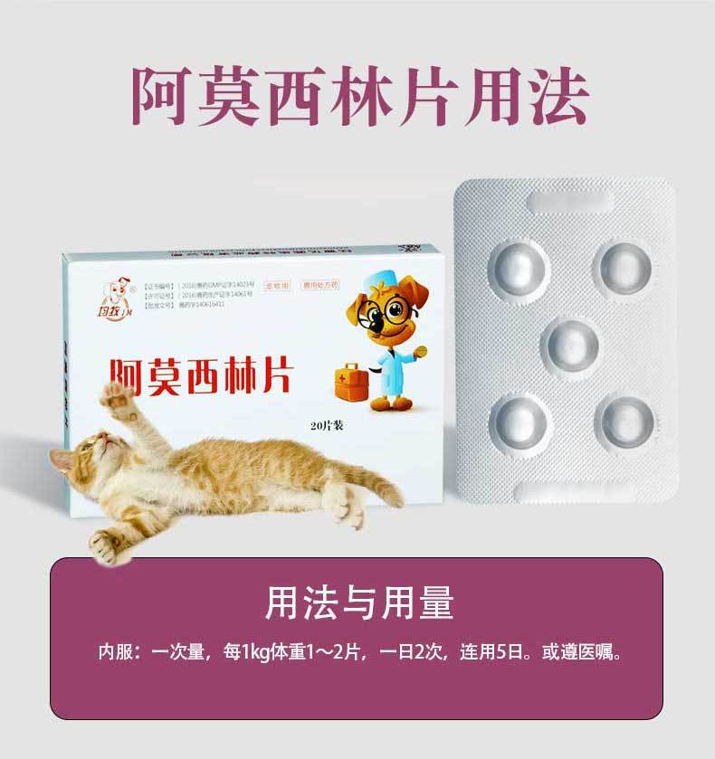 宠物药品狗狗猫咪药尿路感染阿莫西林片口炎猫支鼻治疗片10盒