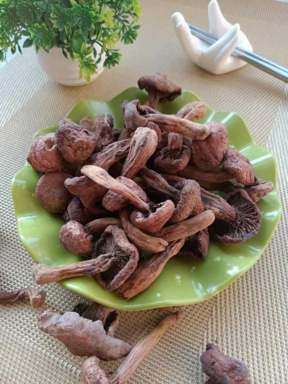 东北特产红蘑长白山纯红松伞菇新货菌菇干货松树蘑菇钉一件100克尝尝