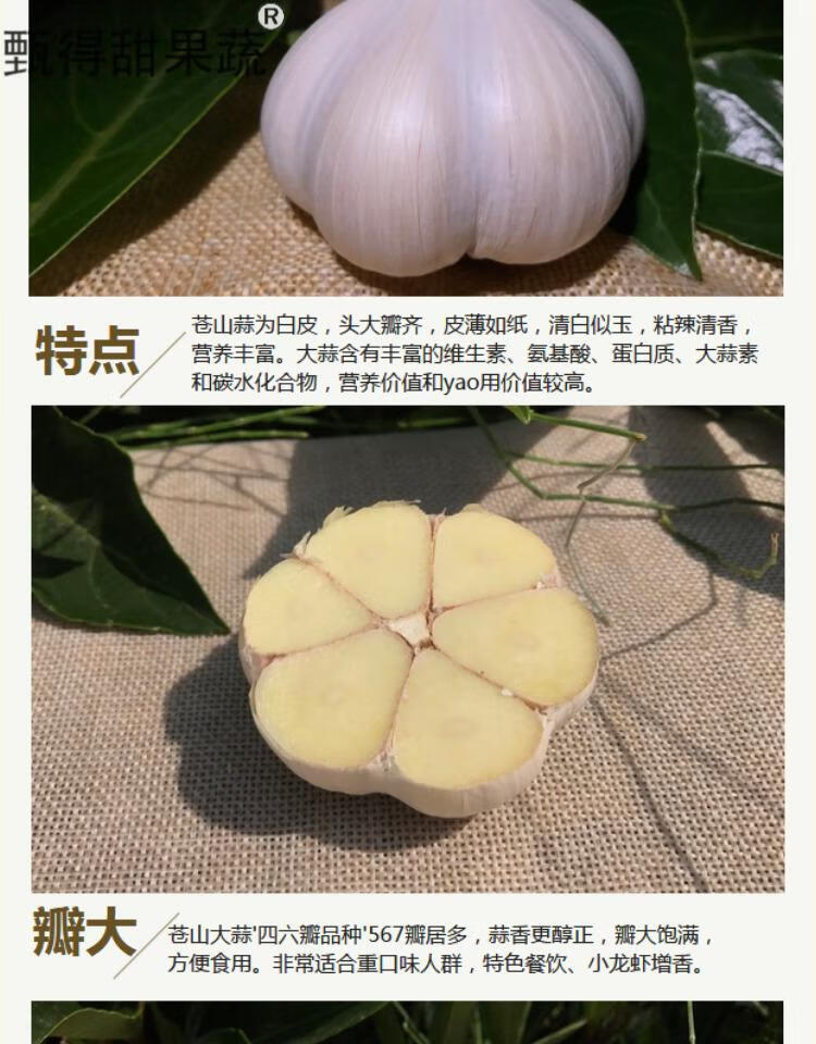 苍山大蒜头5斤山东笨大蒜头低价老品种四六瓣蒜兰陵大蒜