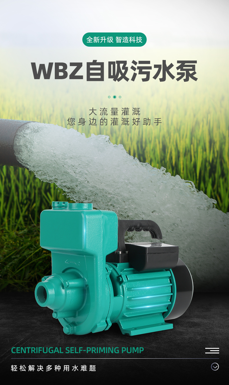 大流量污水自吸离心泵380v抽粪泥浆排污泵家用220v增压灌溉抽水泵1寸3