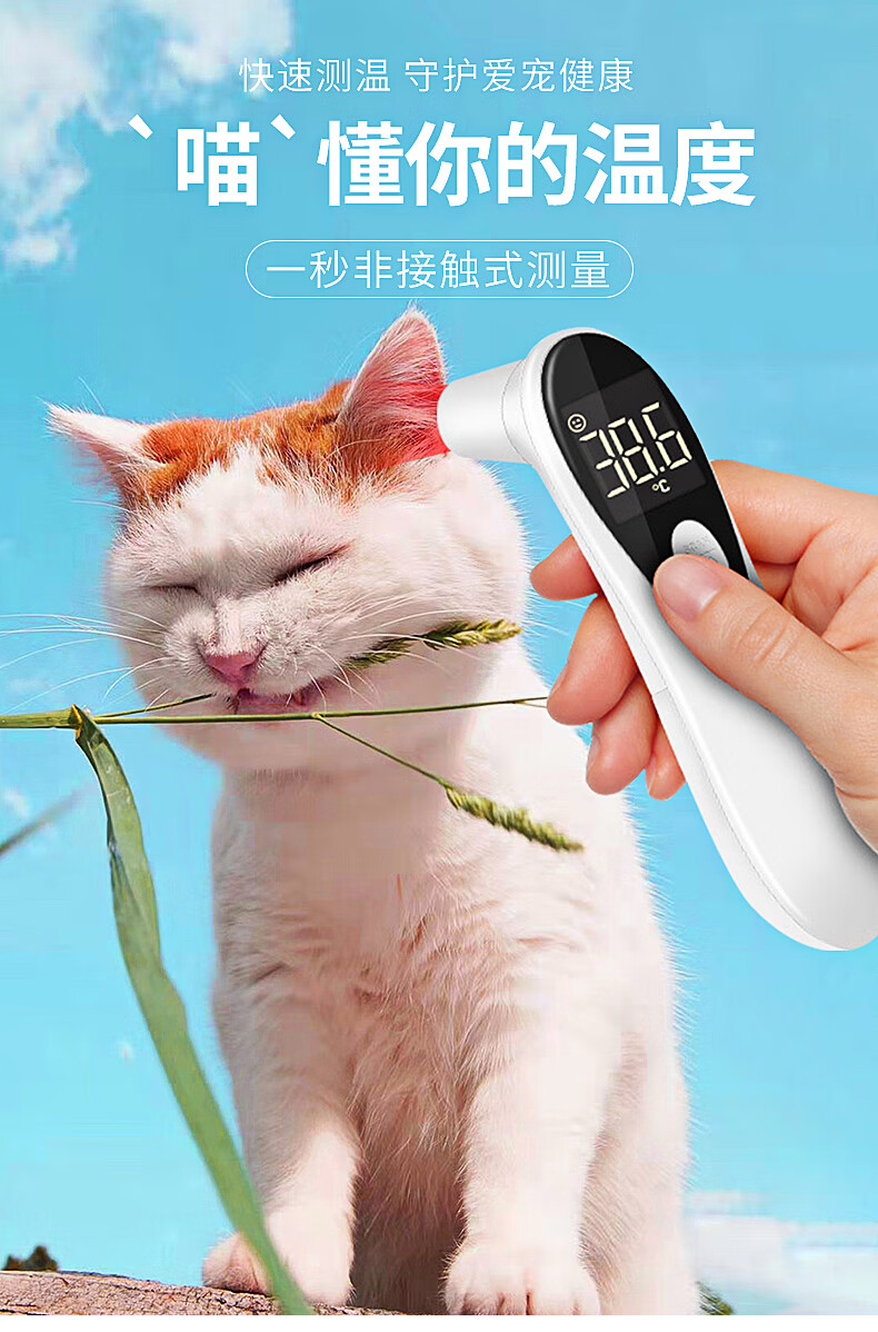 宠物体温枪猫咪电子耳温度计测温仪测温枪测温计动物通用