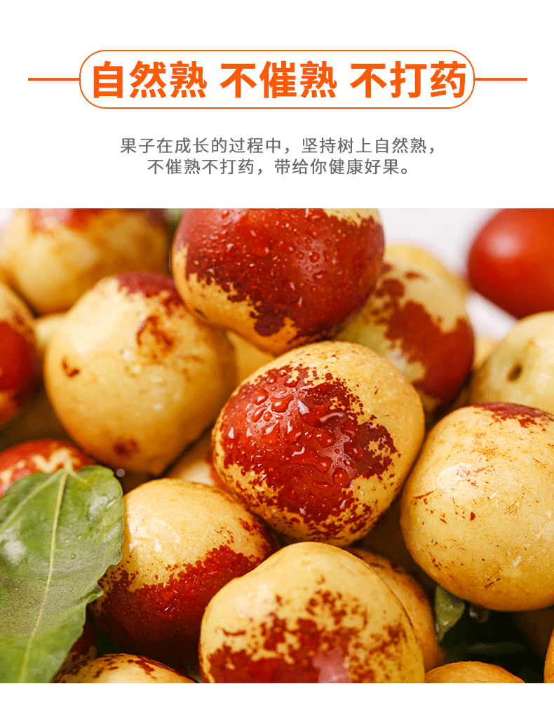 山东沾化冰糖冬枣新鲜水果一级5斤大枣甜脆青枣当季整箱应季时令枣一