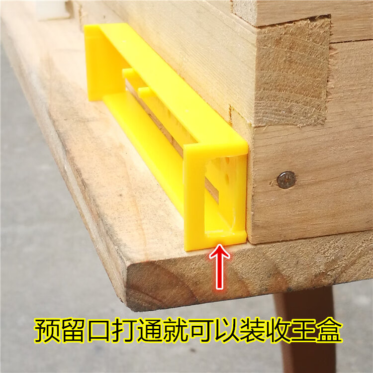 顶格2号组合巢门中蜂自动收王器分蜂器多功能防逃器防