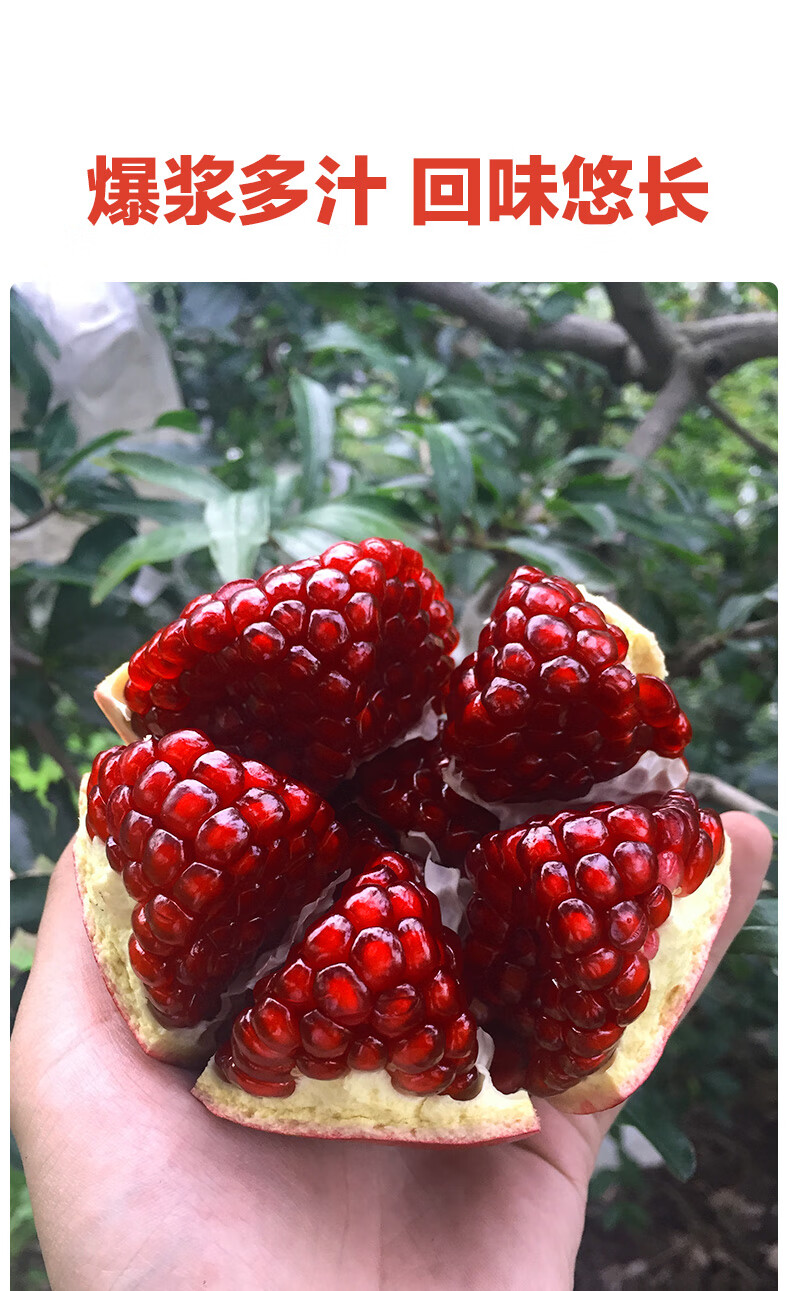 攀枝花酸石榴攀枝花软籽酸石榴一级特大果突尼斯酸甜石榴水果新鲜黑子