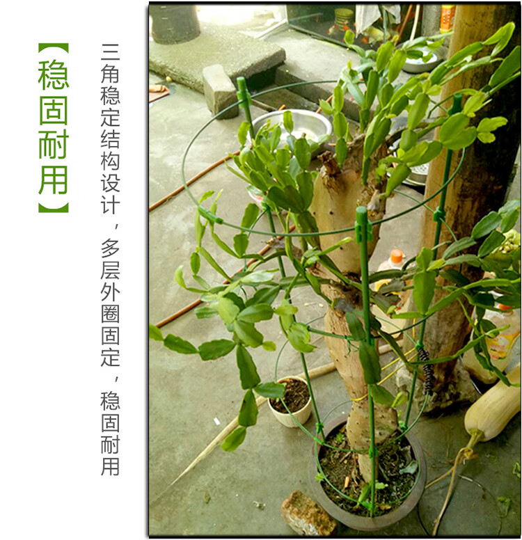 花架爬藤架子蟹爪兰太阳花支架植物嫁接支撑杆绿萝月季攀爬架三层收缩