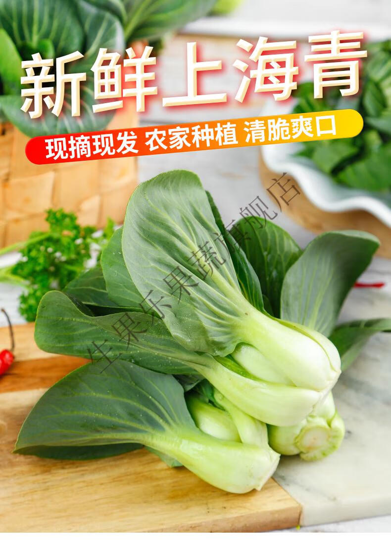 上海青小青菜苏州青新鲜蔬菜霜冻农家食用青菜精品5斤整箱1500g