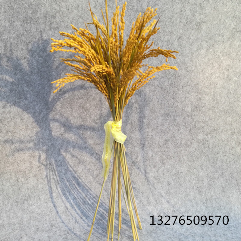 稻穗麦穗天然假花天然麦穗稻穗干花丰收稻谷稻子装饰仿真假花会展布置