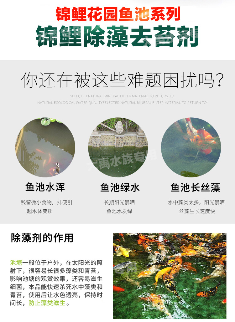 锦鲤鱼池除青苔剂除藻剂去藻除绿水除苔素水族箱除藻药水质净化 3.