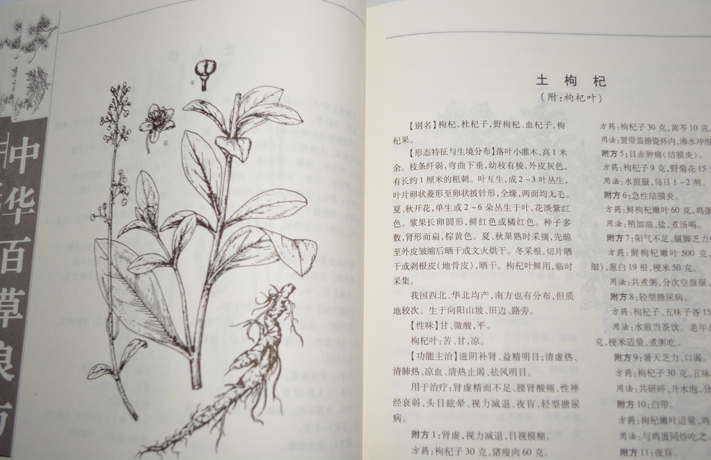《全套图文版全注全译《神农本草经百草良方》豪华4册