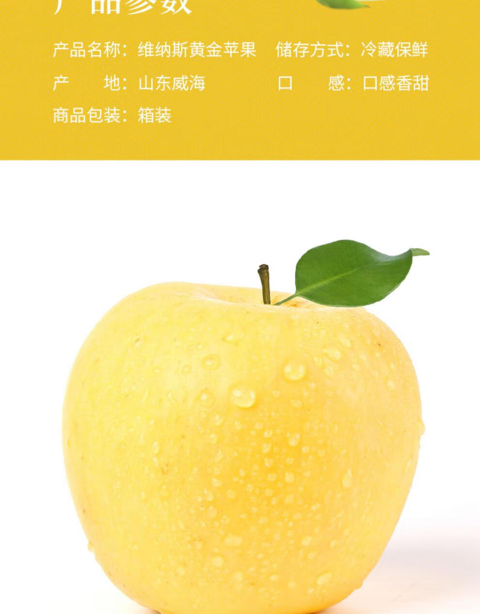 【顺丰直达】礼盒装 威海荣成维纳斯黄金苹果威海金苹果有部分锈9粒