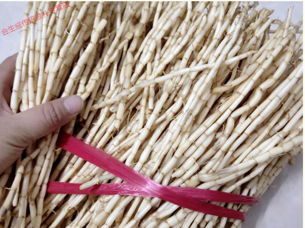 康中尊 白茅根 新鲜野生现挖人工去皮干净可搭配甘蔗煮水天然凉茶 鲜