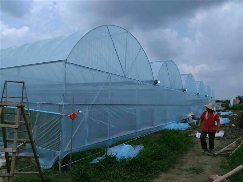 蓝色无滴膜抗老化加厚透明塑料膜大棚膜蔬菜水果保温防雨农用薄膜厚度