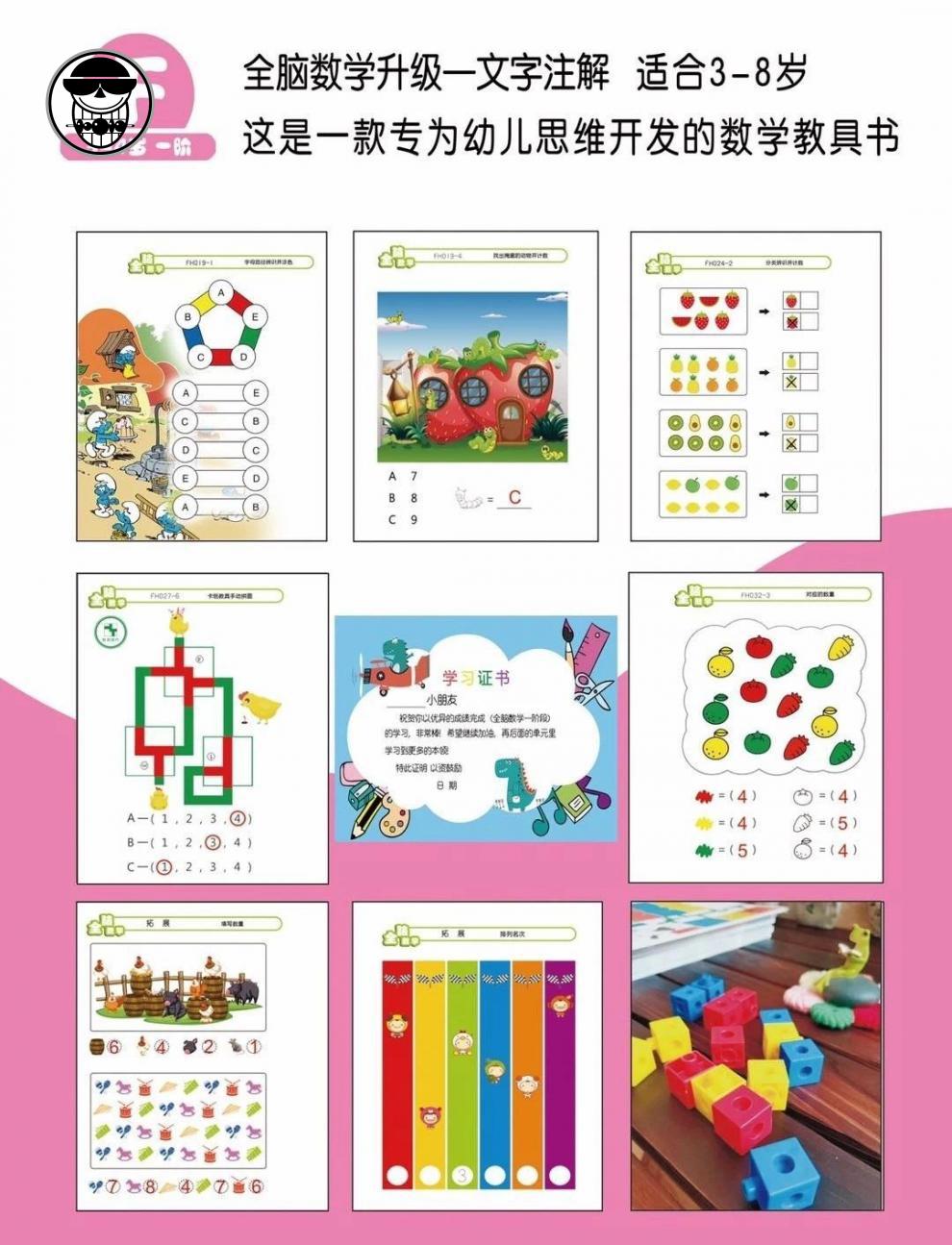 圣诞节礼物斯奎尔全脑数学儿童思维训练积木教具斯奎尔全脑数学卡片