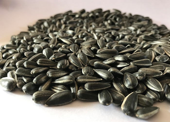 黑珍珠小瓜子2021新货500g现炒熟原味油葵花籽sl生油葵5斤