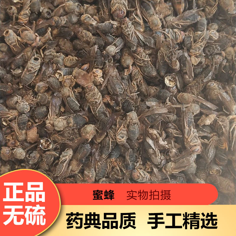 中药材蜜蜂干蜜尸蜂场自然晒干蜜蜂100克蜂窝100g