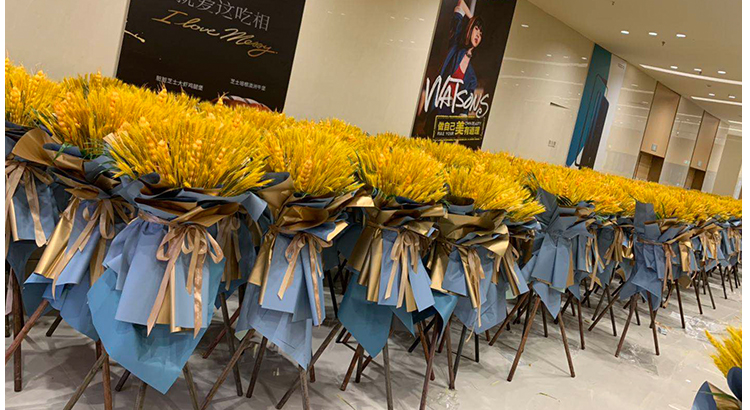 boussac 天然麦穗干花花束开业大麦田园装饰摆设拍摄道具稻穗插花真花