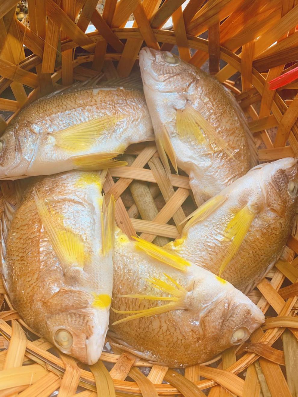 潮汕鱼饭黄墙鱼金雕鱼赤翅鱼海鲜鱼一斤