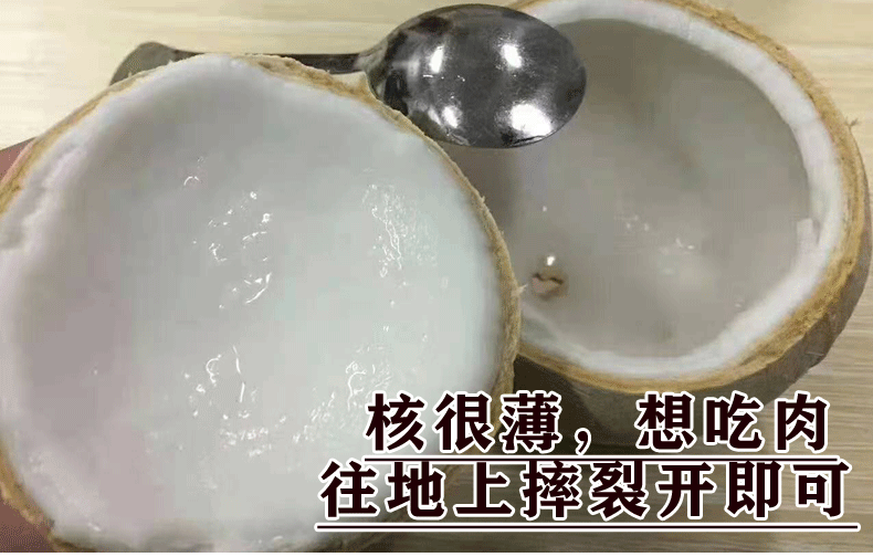 青樱红荔顺丰速运海南牛奶香椰子三亚牛奶椰子椰芋奶香浓郁小椰子孕妇