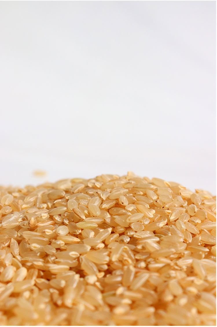 东北五常糙米糙米糙大米玄米稻花香农家杂粮可发芽新米红米胚芽米正宗