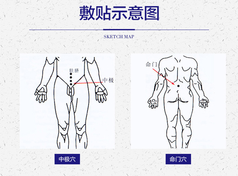 【电视同款】官方郑三毛前列腺热磁灸贴 郑一三毛专柜