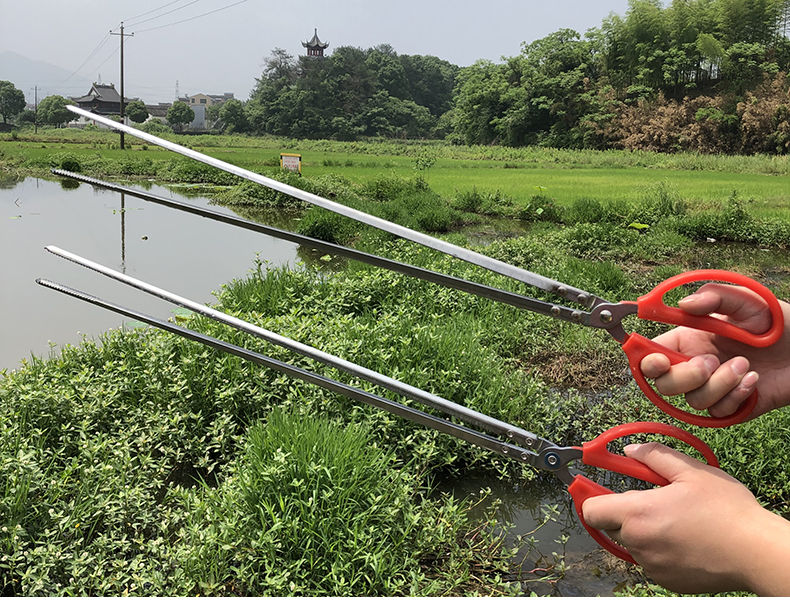 昂宇黄鳝夹子鳝鱼夹抓螃蟹神器泥鳅钳子防滑工具不锈钢长鱼捕捉器塑柄