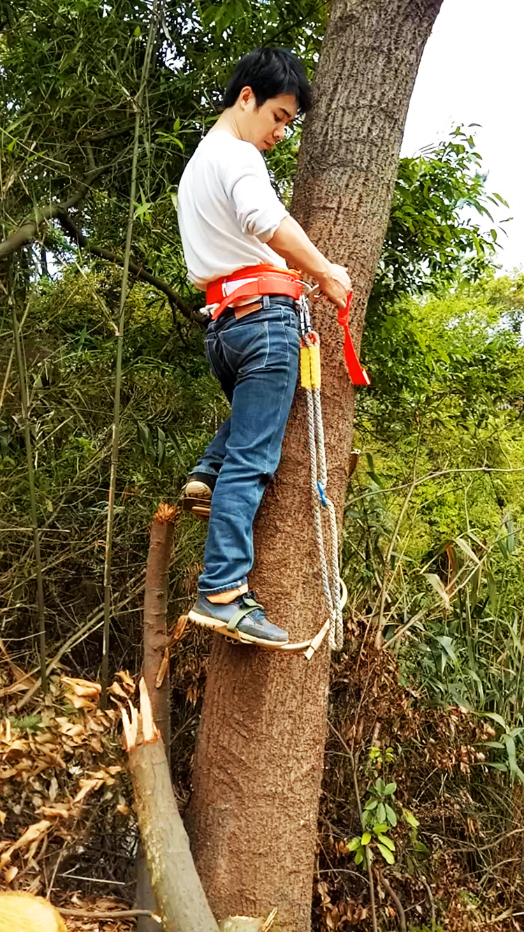 爬树神器爬树工具爬树木杆脚扣上树工具爬椰子树脚后跟式脚绑带