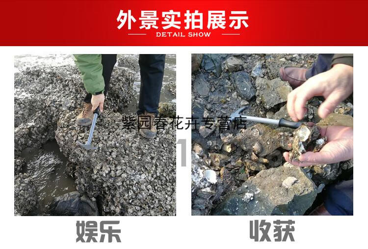园艺以琛赶海工具挖海蛎子钩敲扇贝小镐撬生蚝壳菜拾贝挖牡蛎工具采药