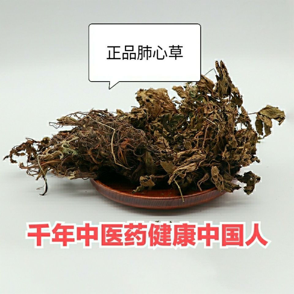 中药材野生肺心草,梅花草,白侧耳,货真价实保证质量