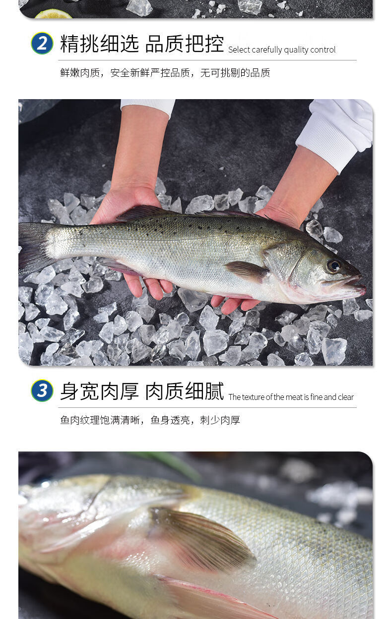 深海特大海捕新鲜海鲈鱼冷冻水产品海鲜类七星鲈百花鲈鱼鲜活 精品1条