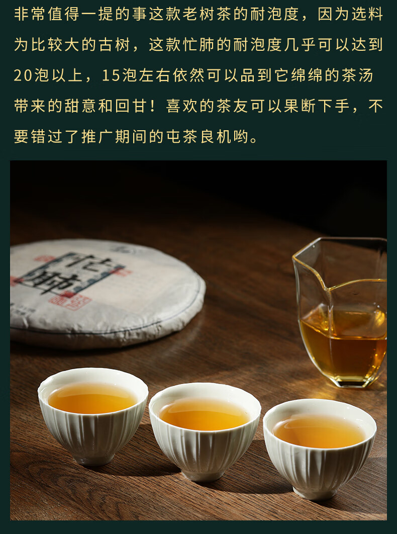 2021年忙肺古树茶云南普洱茶生茶叶普洱茶饼茶生普洱茶饼357g357g