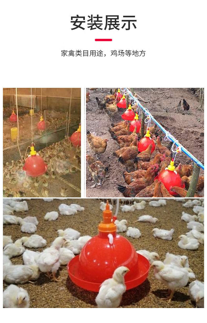 家恒宝鸡用自动饮水器普拉松鸭鹅喂水器小鸡加水壶养鸡养殖设备鸡用品