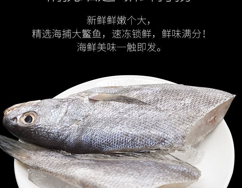 顺丰直达新鲜深海米鱼冷冻鳘鱼大敏鱼冰冻鮸鱼海捕水产新鲜鲜活速冻带